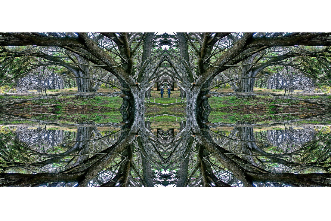 7 Double Mirrored Tree, Haunted