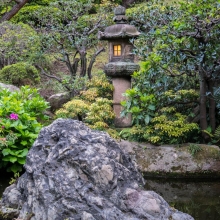 Japenese lantern in garden.jpg